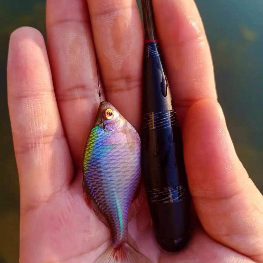 Newly Upgraded with Added Storage Box—Mini Micro Fishing Hand Rod(Beginner's Starter Kit)