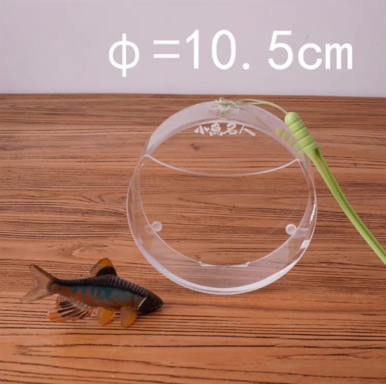 Round Fish Viewing Box