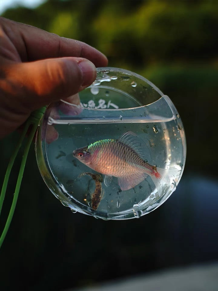 Round Fish Viewing Box