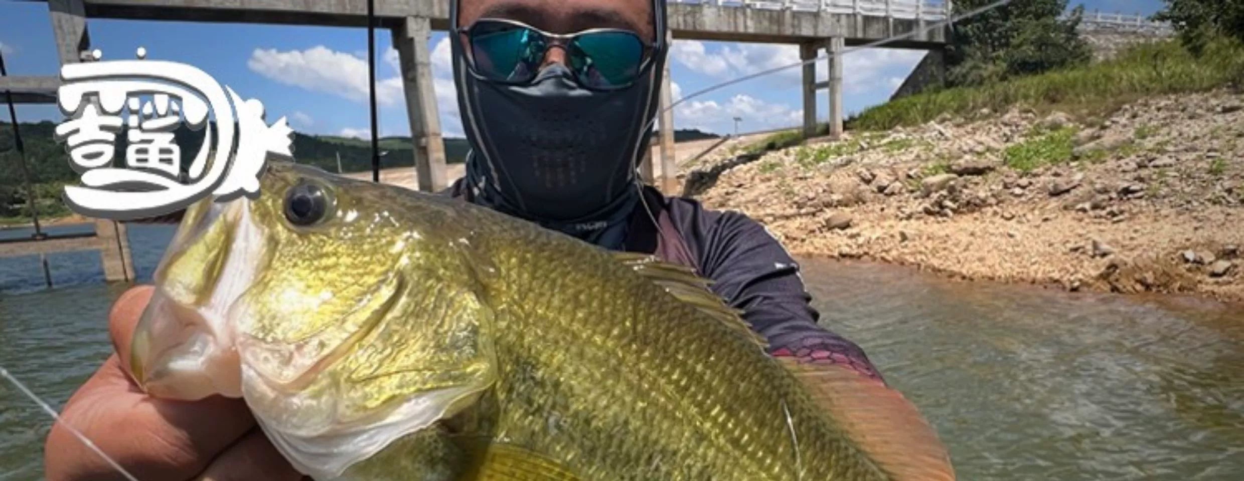 Rattlesnake senko noodle worm lead-free inverted fishing lure perch black pit stealing donkey high specific gravity soft bait