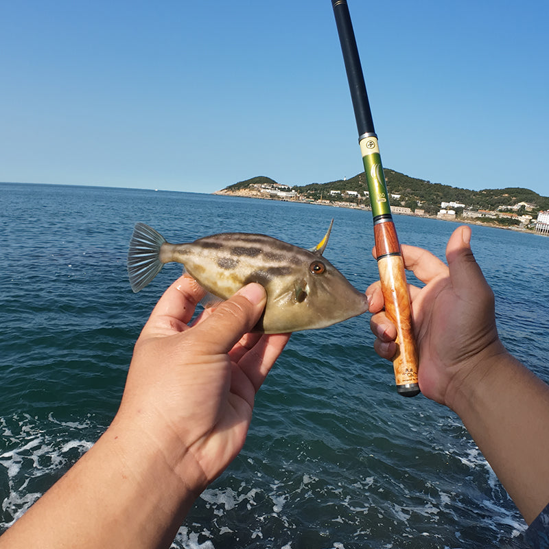 Mini Ultralight Tenkara Stream Rod – Portable Collapsible Design