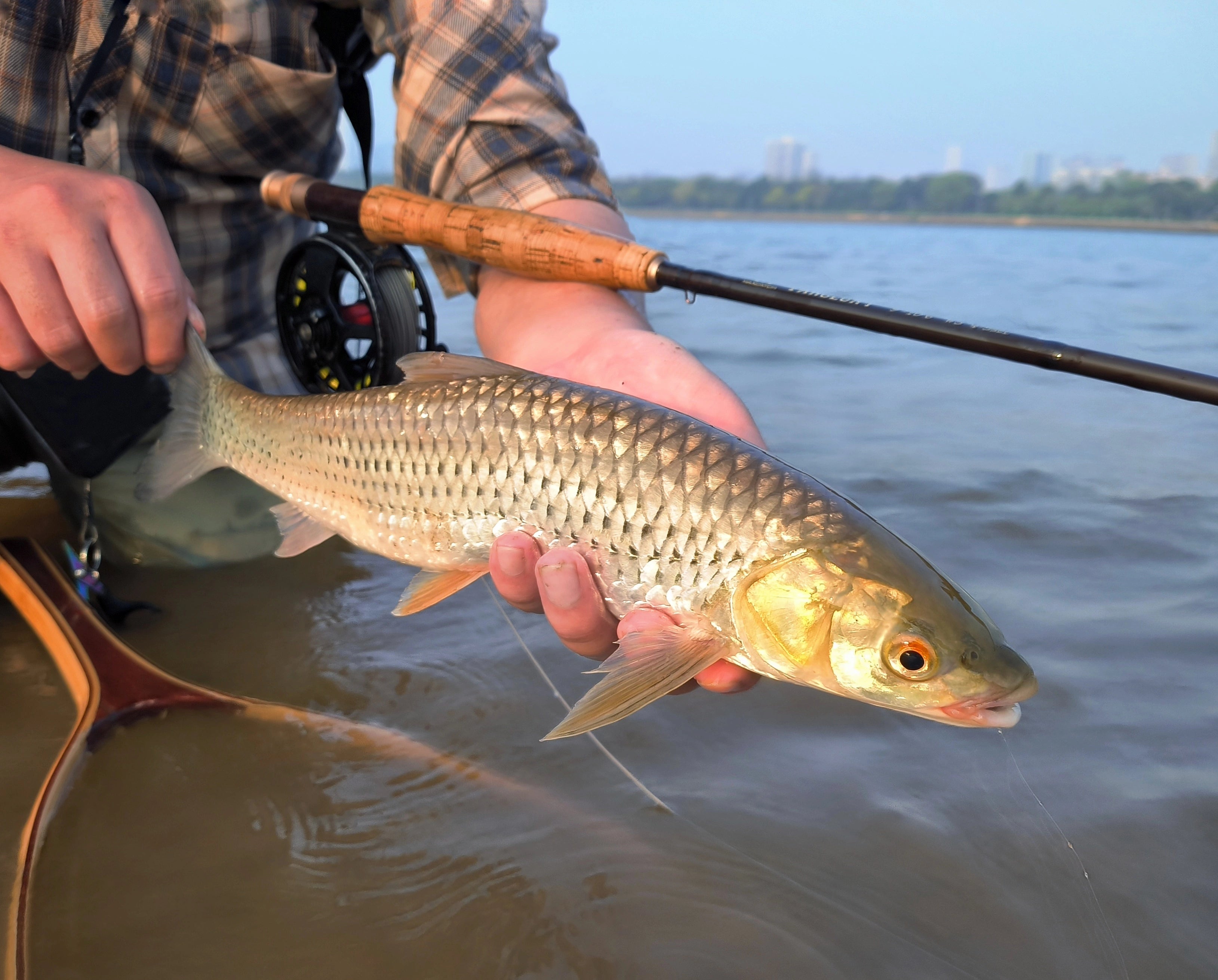 Damselfly fly fishing Luya fly hook insect bait, red-eyed trout horse mouth milk warp