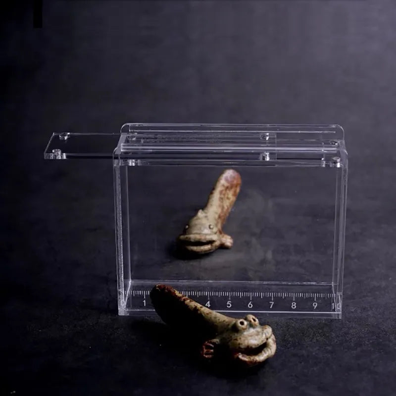 Fish View Box Microfishing Observation Box | JustFishingLOL