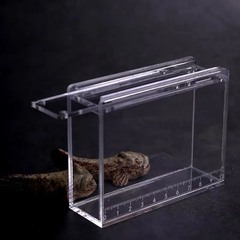 Fish View Box Microfishing Observation Box | JustFishingLOL