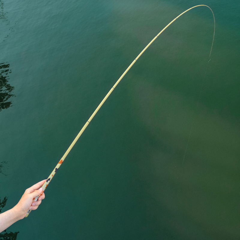 Ring cat 4C Micro Fishing rod