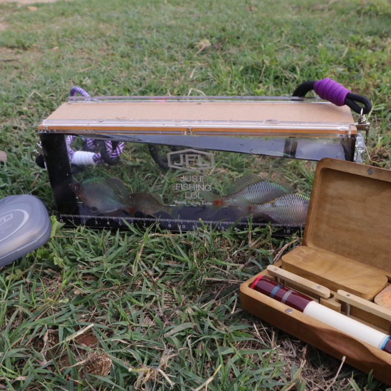 Fish Viewing Box – Ultra-Clear Acrylic with Magnetic Sliding Lid | Transparent / Black Frame / Orange Frame