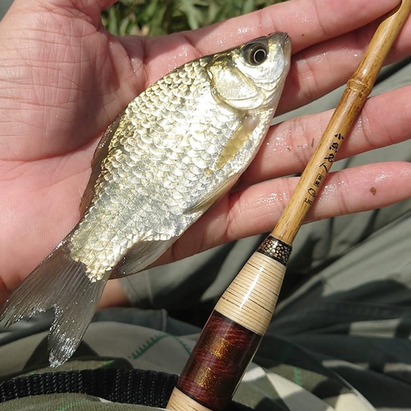 MicroFishing Socketed Rod—Not Recommended for Beginners