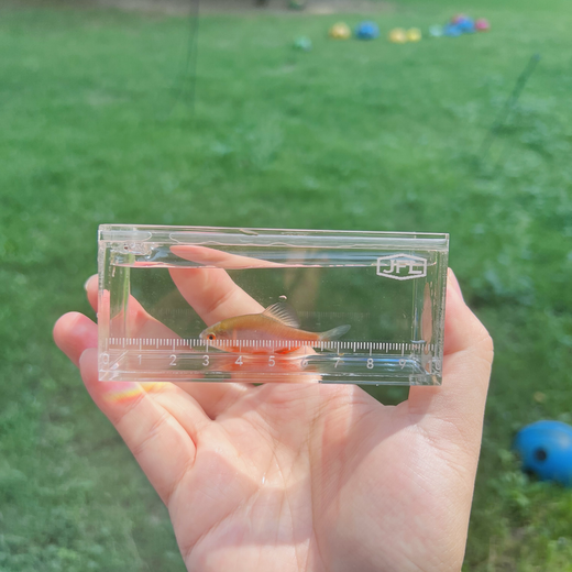 Fish Viewing Box – Ultra-Clear Acrylic with Magnetic Sliding Lid | Transparent / Black Frame / Orange Frame