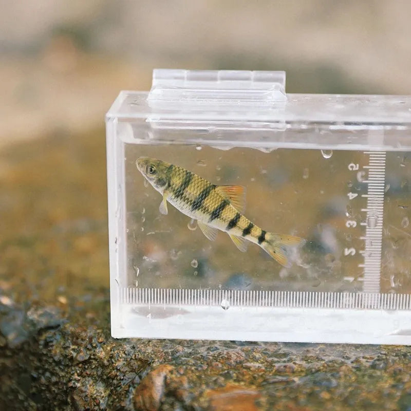 Microfishing Observation Box | JustFishingLOL